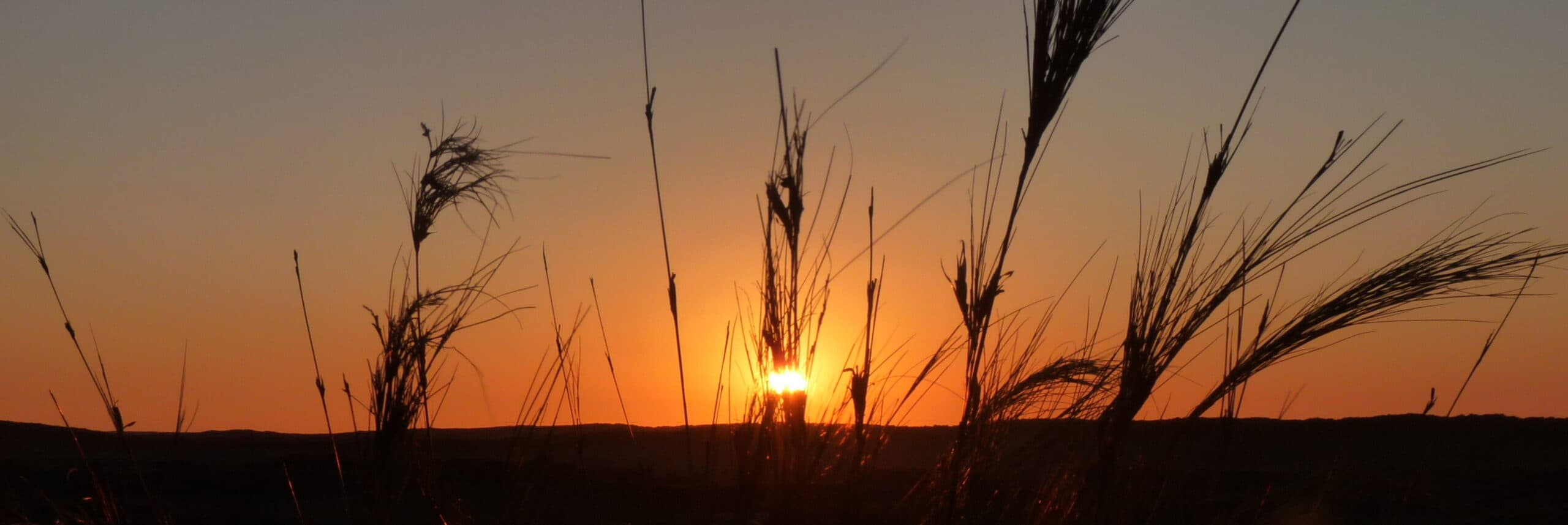 Namibia 2015-1070 Namib Sonnenuntergang Ausschnitt
